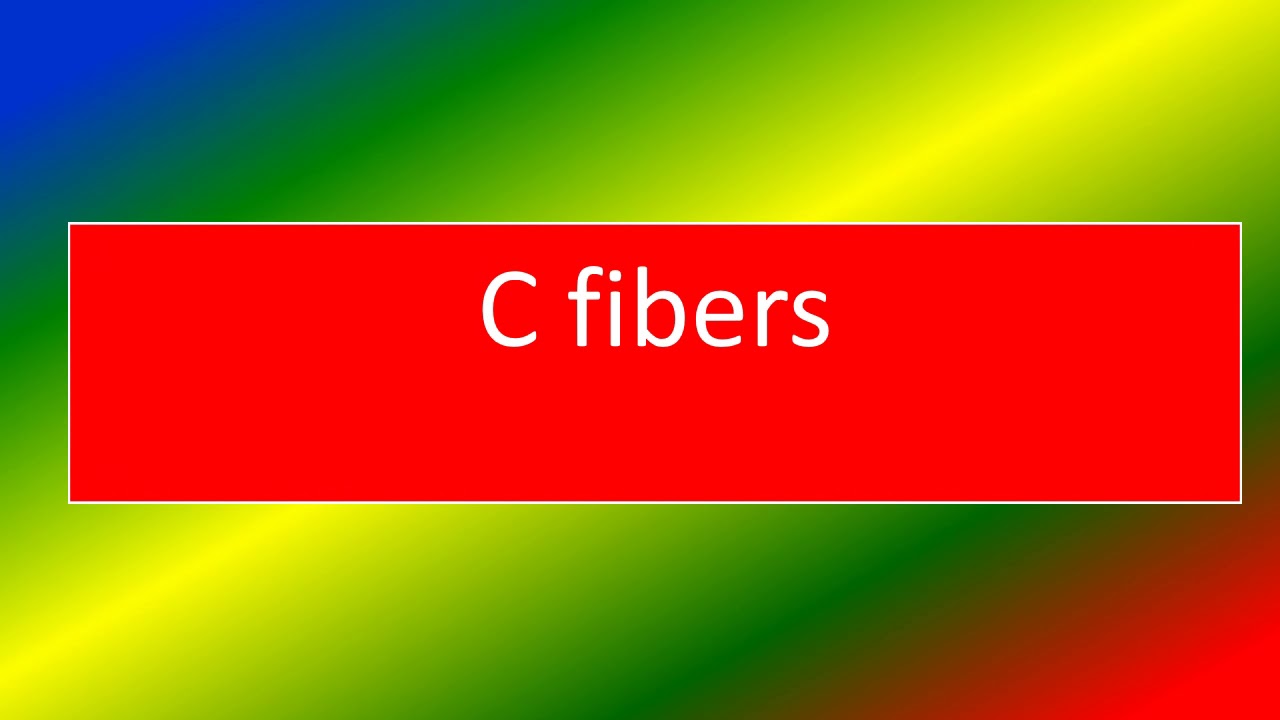 c fibers