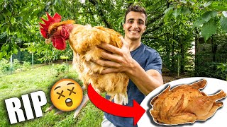 J'AI ÉLEVÉ UN POULET POUR LE MANGER ! (et c'est trop bon)