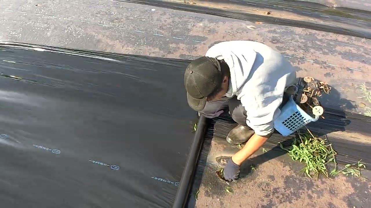 maxresdefault.jpg?sqp=-