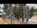 Homeless camping under overpasses in Bakersfield.