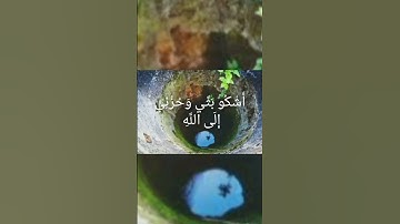 سورة يوسف{الآية} 86