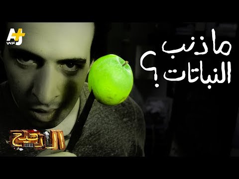 فيديو: من اخترع تصنيف النباتات؟