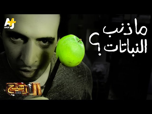 صورة ذات صلة