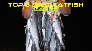 Best CATFISH Lakes in California (Top 5)