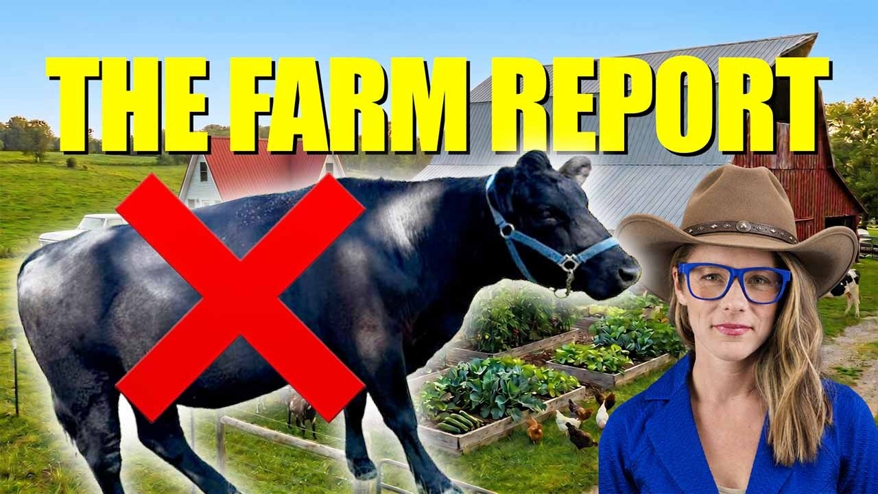 Beef cattle herds continue to tank || Jared Bedke