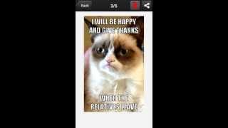Grumpy Cat Meme Generator