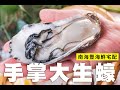 肥美滑嫩鮮甜無比！火烤手掌大生蠔 - 南海豐海鮮宅配