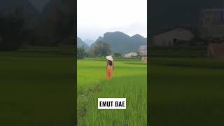 Download Lagu Lagu Sunda Emut Bae MP3