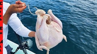 : FISHING with a CHICKEN!