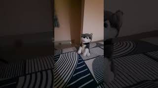 이제우찌될라나태국실시간방송. 파타야Live.한국정세.윤석열. 공수처.헌법재판소.외신은? 하이라이트3031