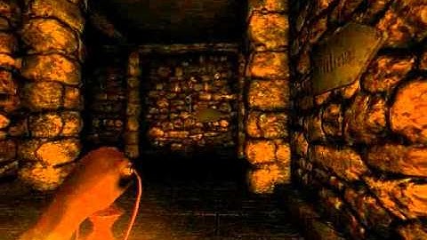 Amnesia: The Dark Descent : Hiding in the dark (14)