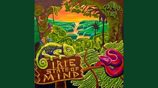 I.S.M. - Fortunate Youth