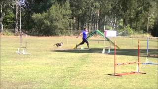 Flow Adm Newcastle 2013