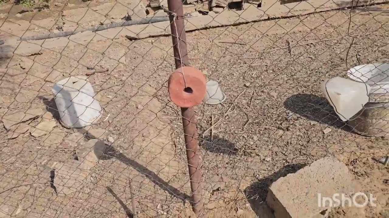 تجهيز ارض المزرعه لزراعة الجت ومرض الكرد في الحلال وقتراب موعد السفر .