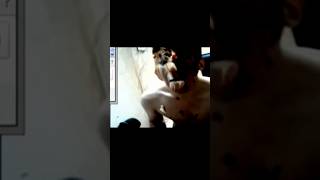 #creepy #video #shorts