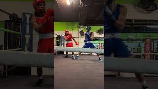 Main Street amateur boxing tournament #boxing #blue #red #live #fight #wow