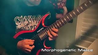 Morphogenetic Malice - Guitar Solo 2 - Brian Bissen