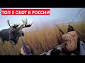 💥 ТОП 5 ПОПУЛЯРНЫХ ОХОТ В РОССИИ.