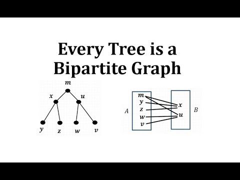 Video: ¿Todo árbol es un grafo bipartito?