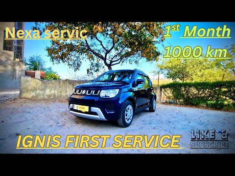 Maruti Ignis Delta