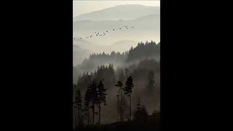 Hammock - Floating Away in Every Direction