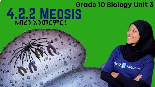 Grade 10 Biology Unit 4 : 4.2.2 Meiosis|ሳቋማ |Saquama