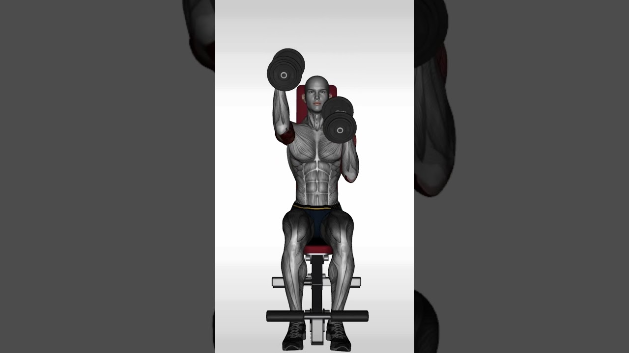 Digital muscle library, customize your workouts, app is loading.. 