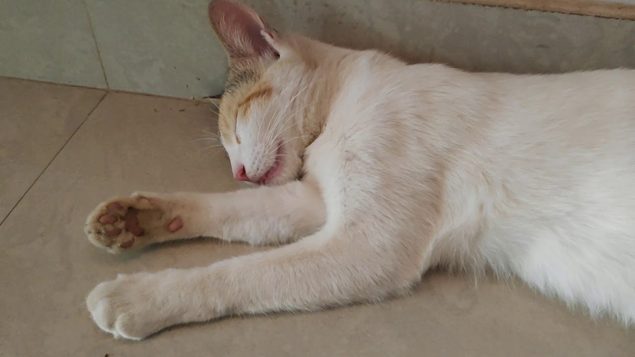 OMG! She is pregnant. - YouTube