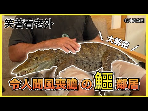 解密令人聞風喪膽の鱷鄰居｜笑著看老外