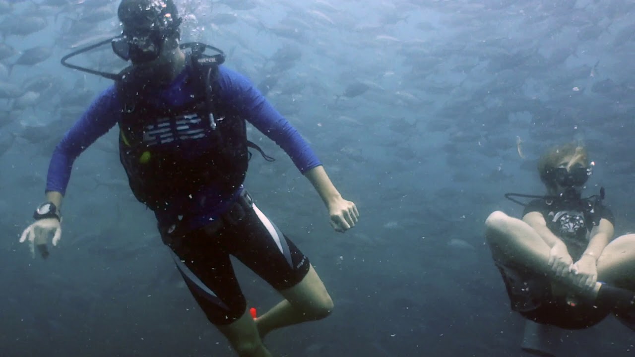 OPEN WATER COURSE with Wes and Kat from Canada - KOH TAO - SAIL ROCK