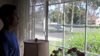 APO Rush Fall '13 Dream A Better Tomorrow Trailer