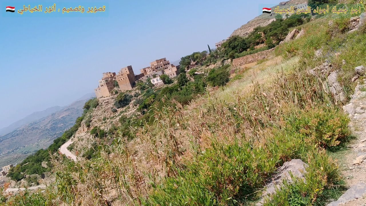 عنوان جديد : أجواء اليمن الجميلة من بيت الخياطي الطويله 🇾🇪#اجواليمن #جمل اليمن #اجوالمحويت #الطويله 