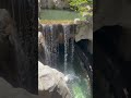 Waterpark me rahunga main, ghar nahi nahi jaunga main😁 #shortsfeed #video #viral #trending #shorts