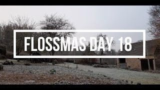 Flossmas Day 18 What she is getting for her birthday