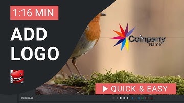 Lightworks Tutorial: How to Add Logo in Lightworks