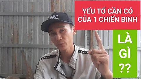 Bt M 1 Yu T Cn Thit| M Chin Binh Cho Mo Cn Phi C| ...