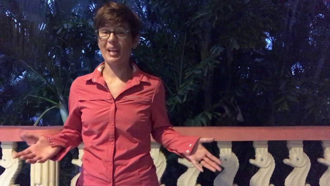 BBC Presenter Search Video