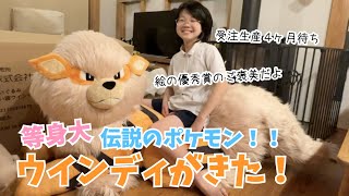 添い寝 ウインディ 受注生産 ぬいぐるみ 等身大 ポケモンセンター 再販なし 新品未開封】ポケモンセンター 添い寝 ウインディ ぬいぐるみ