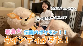 等身大のウインディがきた待ちに待ったさなちゃんへのご褒美♫ポケモンセンター受注生産ヶ月待ち♫