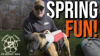 SPRING FUN! by Second Chance K9 Service Dogs 131 views 3 years ago 9 minutes, 29 seconds