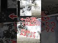 【自己流】歌詞動画の作り方 シックハウス/須田景凪