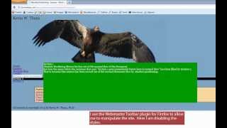 Basic Positioning on Web Pages - Absolute, Relative and Fixed Wealth