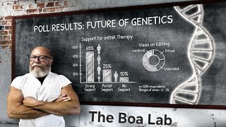 Boa Lab Poll Summary
