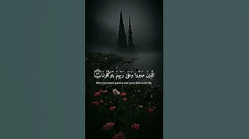 القرأن الكريم تلاوات خاشعة #الذين_صبروا_وعلى_ربهم_يتوكلون #راحة_نفسية_للقلب #viral #foryou