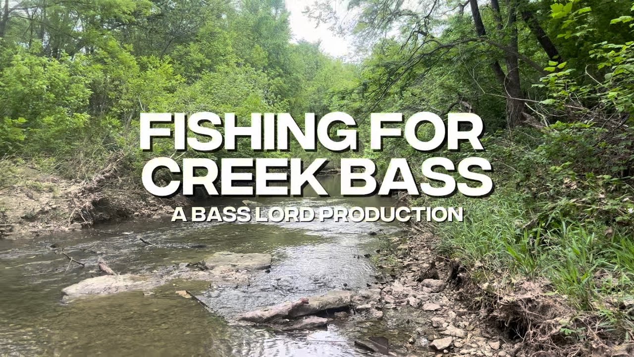 Fishing for MONSTER creek bass!