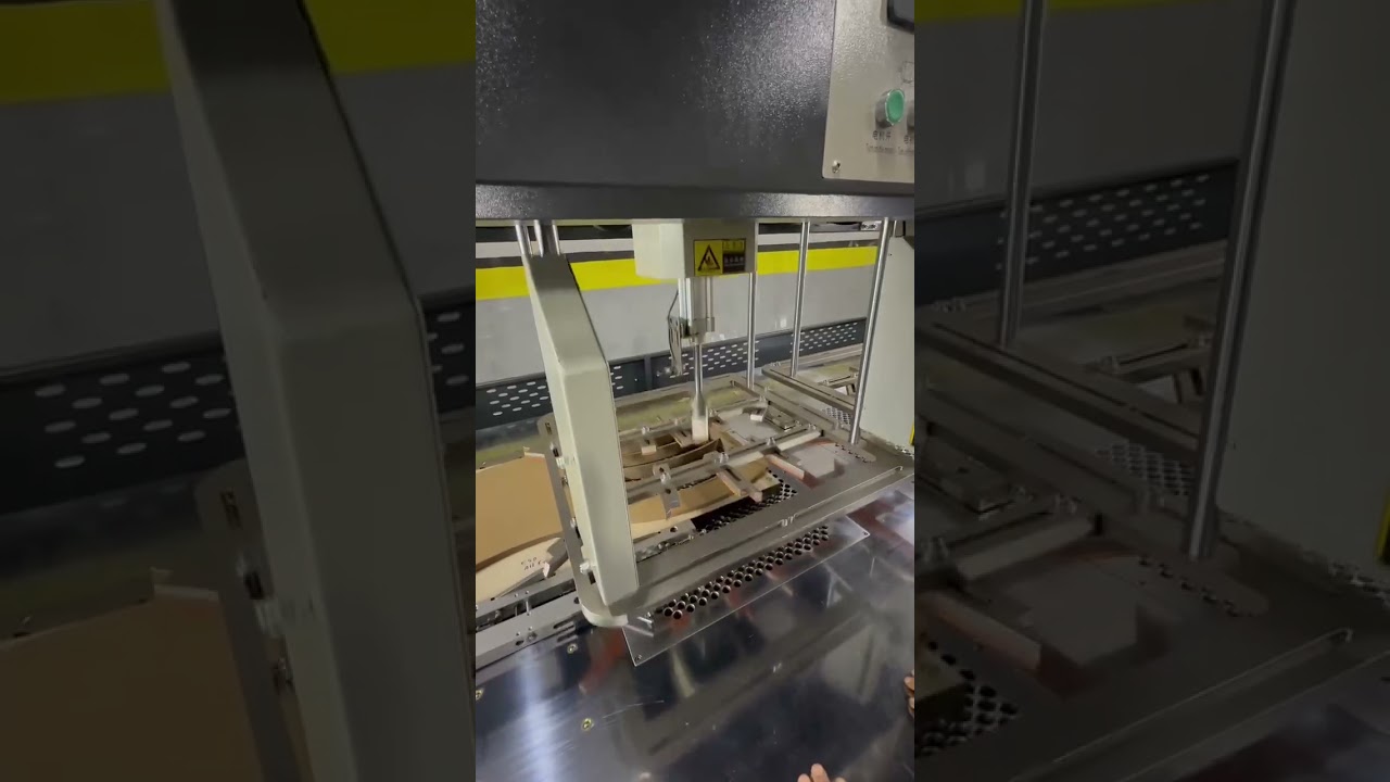 Paper Bowl Stripping Machine working in Turkey