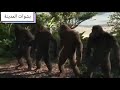 احنا ملوك النزاهة احنا ملوك النزاهة