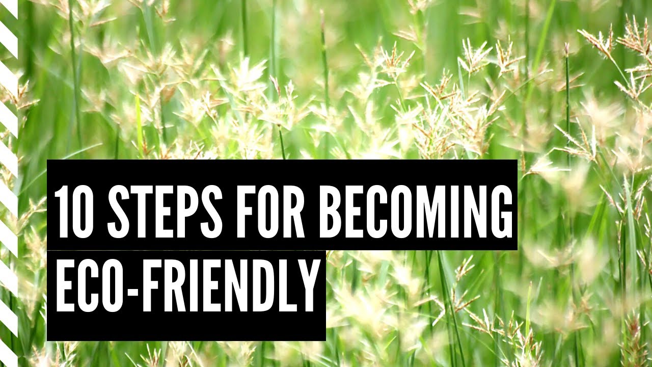 10 Steps For Becoming Eco Friendly