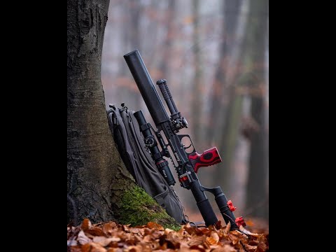 EDgun Leshiy 2 gauge Installation