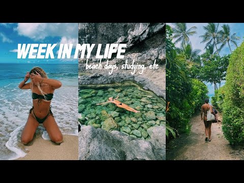 VLOG: back w another week in my life at the university of hawai'i